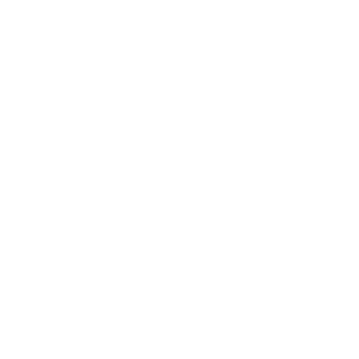 Api